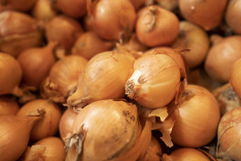 Broinhof Wildranna bei Untergriesbach Zwiebeln aus eigenem Anbau